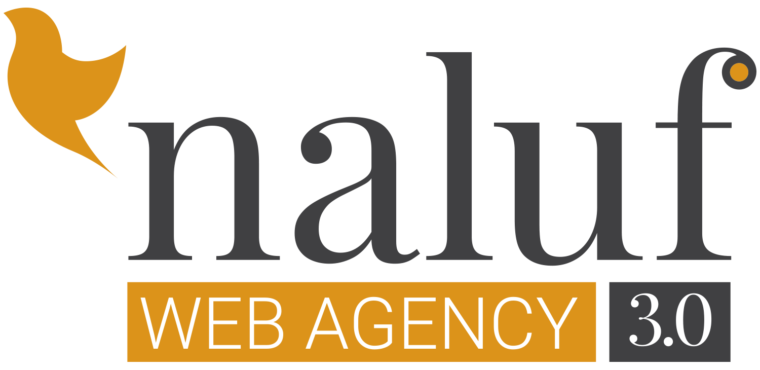 Naluf 3.0 web agency Brescia